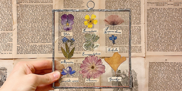 UNDERGLASS-Dried Flowers Framed After 35 Years Kept In A Book