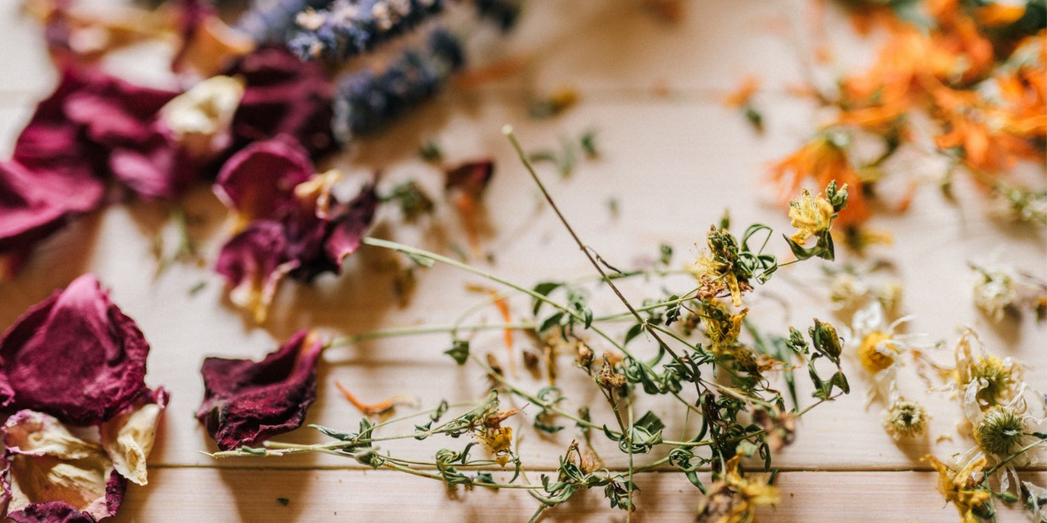 How Long Do Dried Flowers Last? Tricks on Preservation