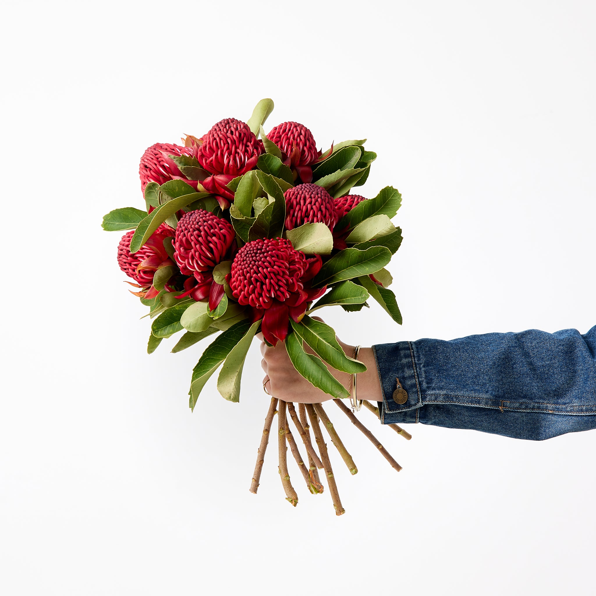 Native Waratahs