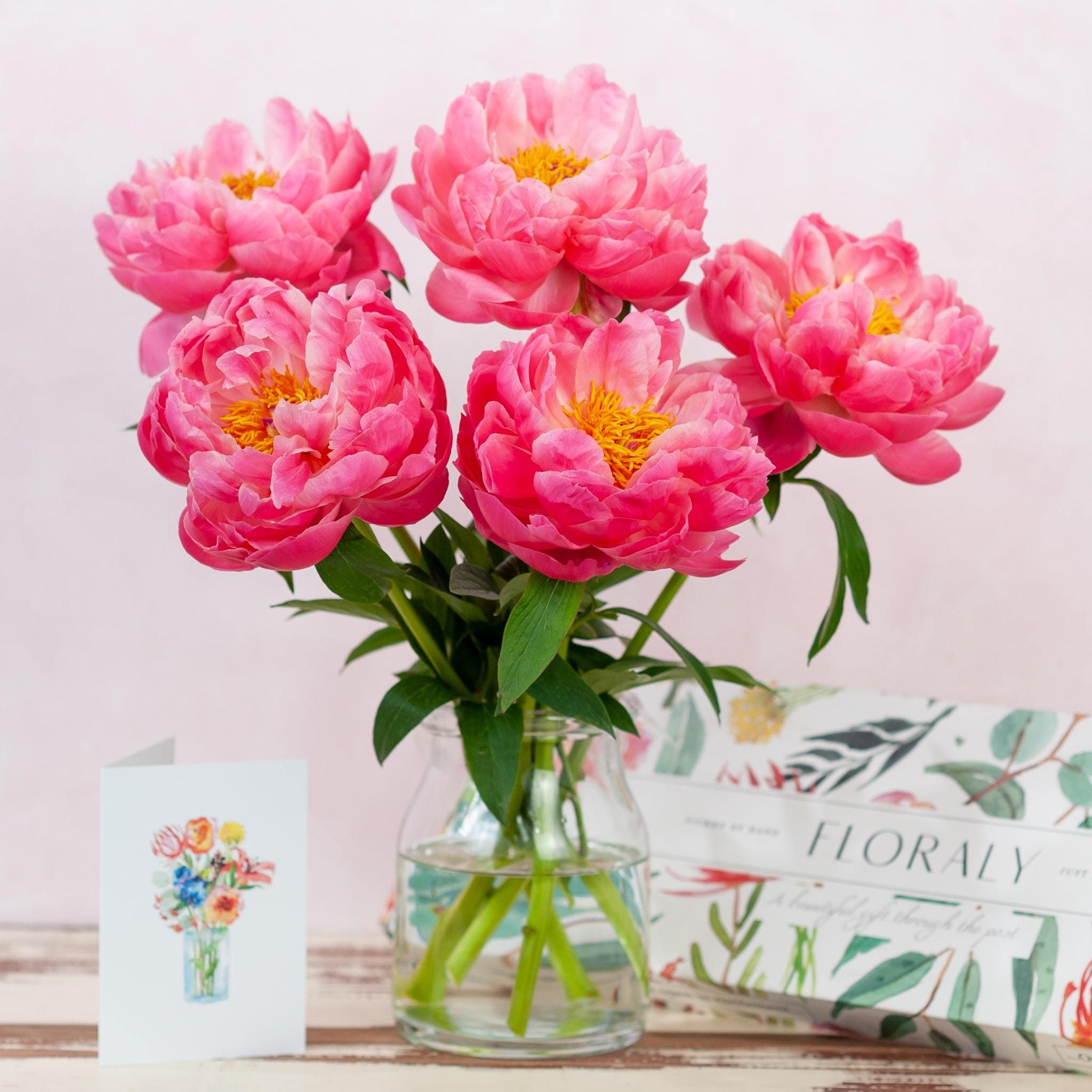 Coral Peonies - Floraly Australia