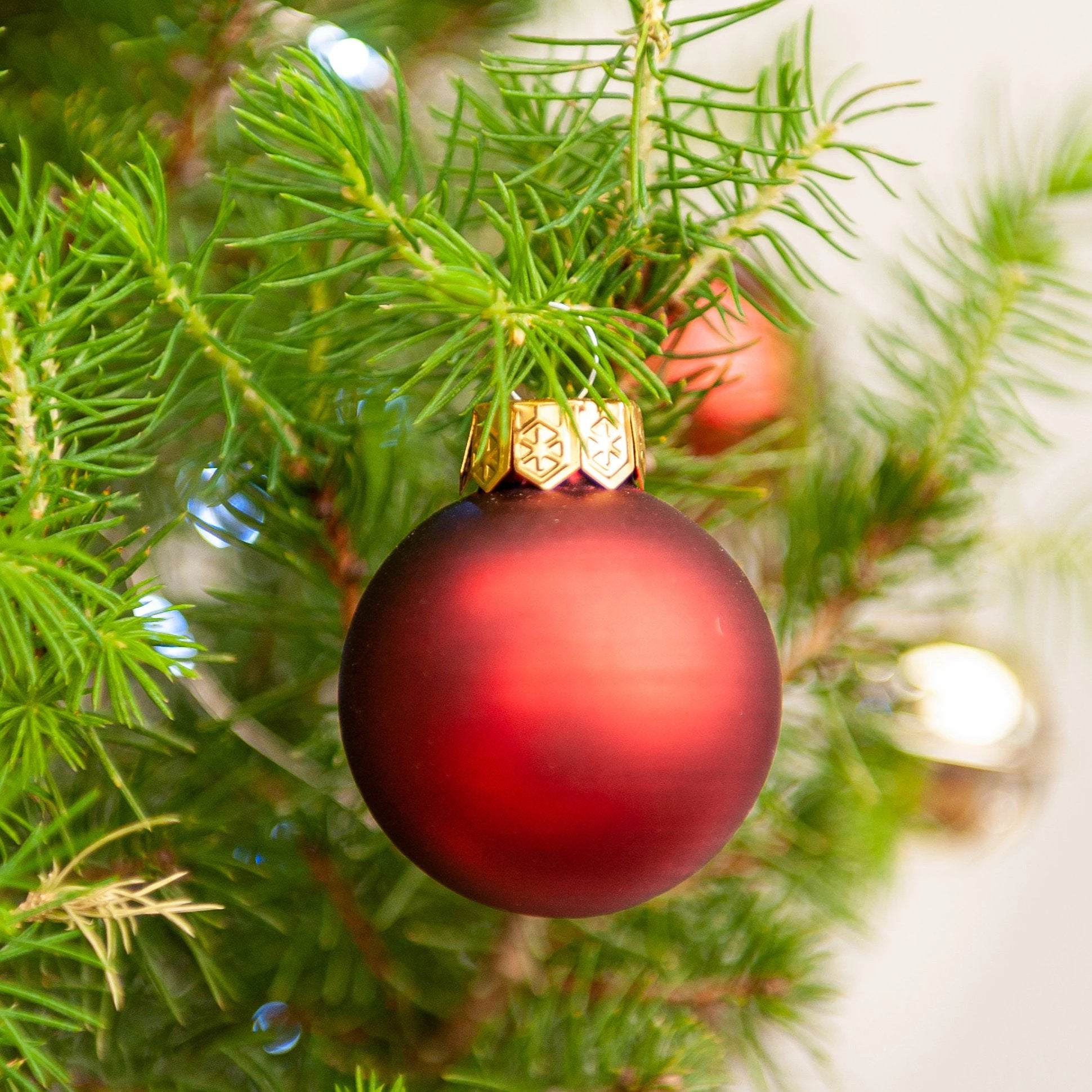 Red baubles on a Christmas tree